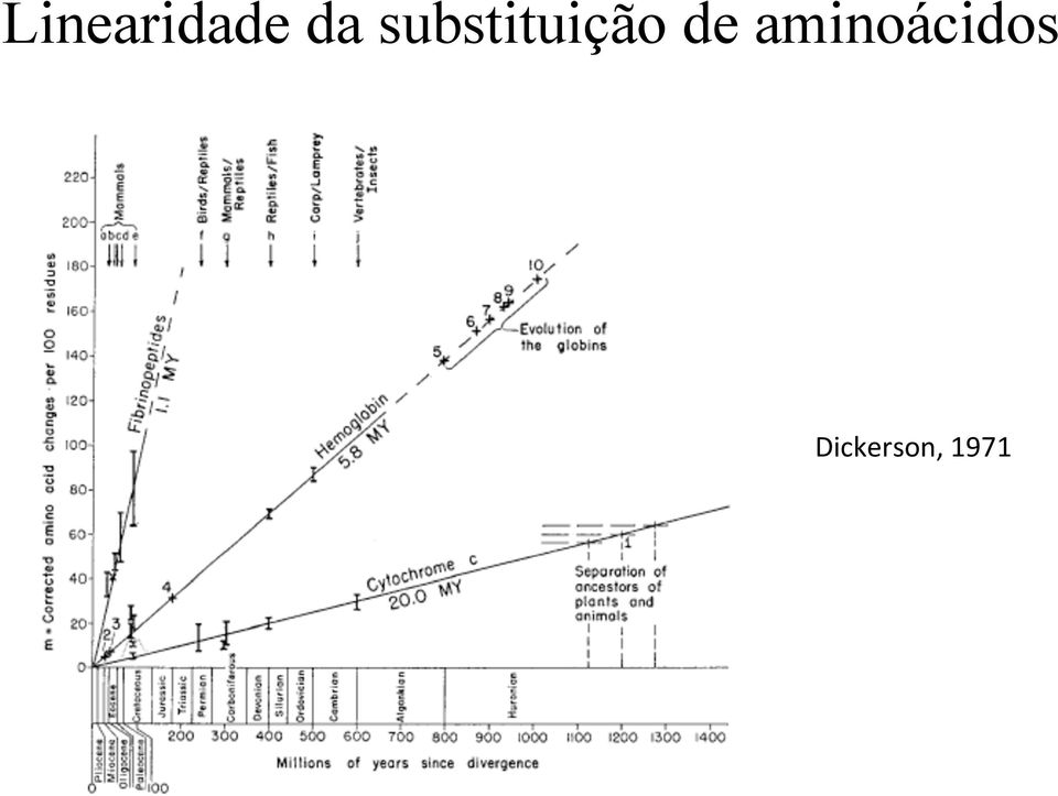 de aminoácidos