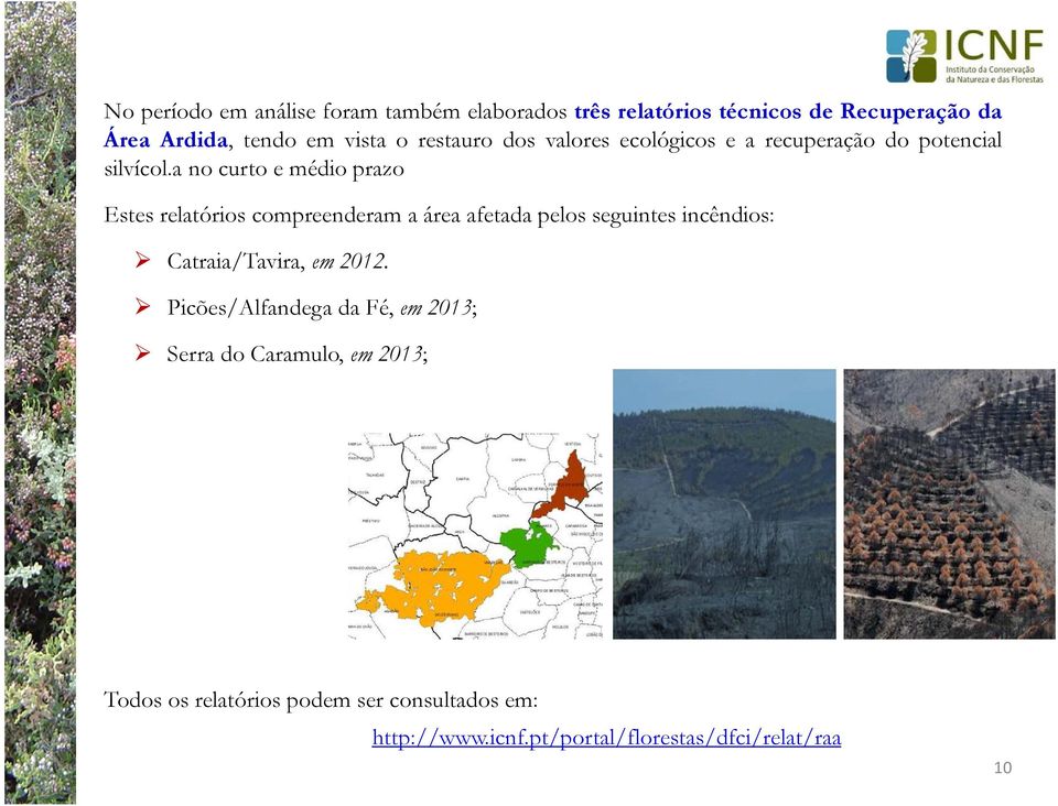 a no curto e médio prazo Estes relatórios compreenderam a área afetada pelos seguintes incêndios: Catraia/Tavira, em