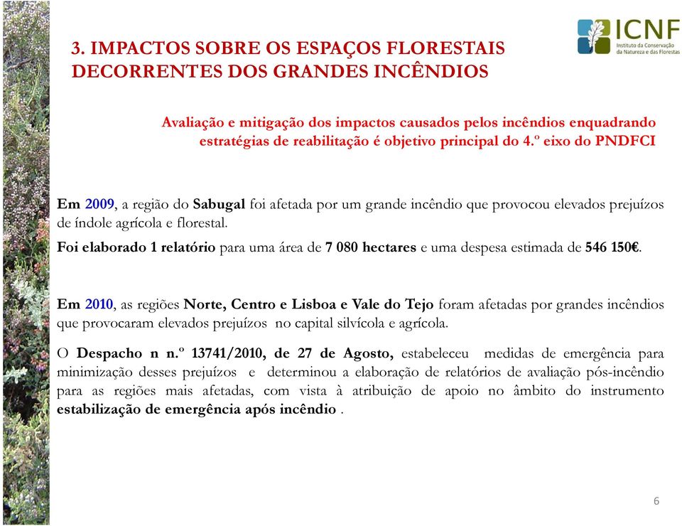 Foi elaborado 1 relatório para uma área de 7 080 hectares e uma despesa estimada de 546 150.