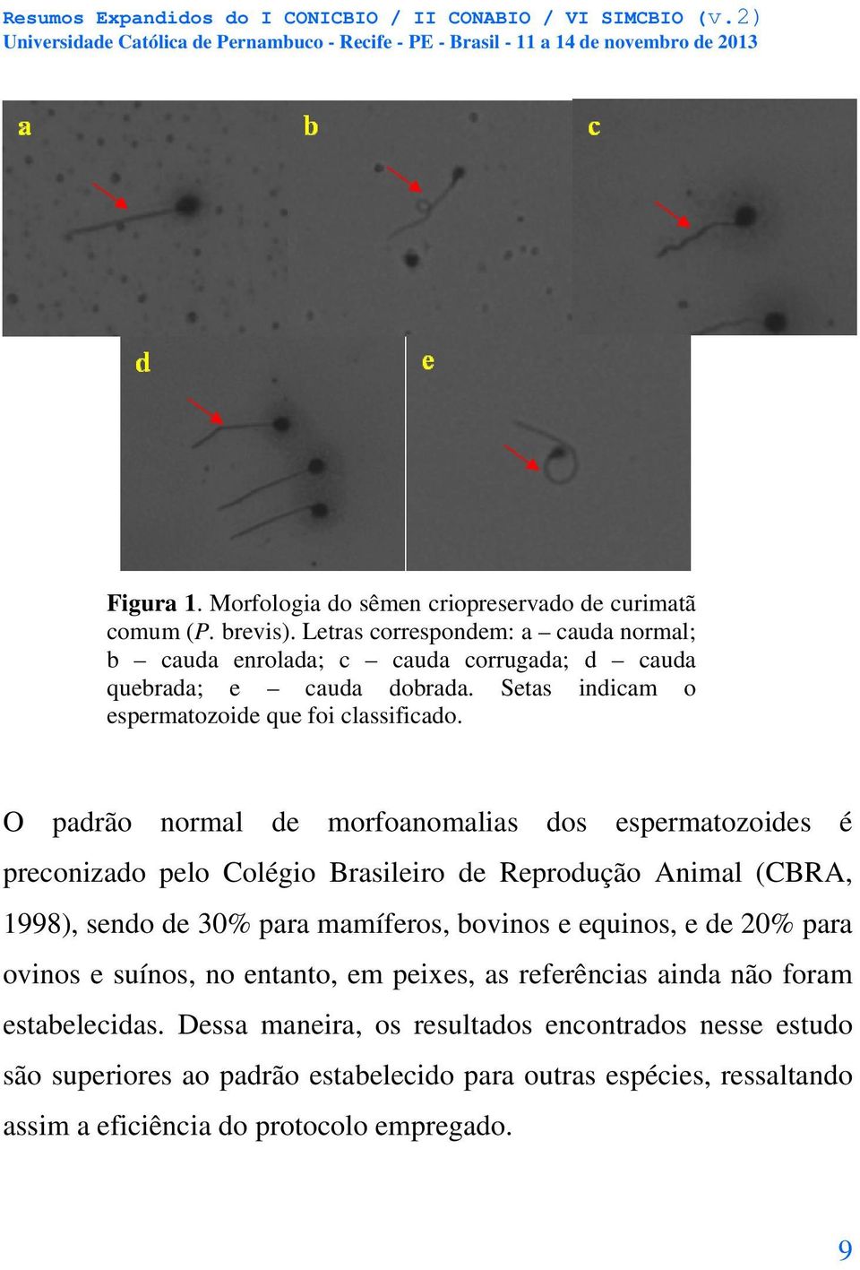 O padrão normal de morfoanomalias dos espermatozoides é preconizado pelo Colégio Brasileiro de Reprodução Animal (CBRA, 1998), sendo de 30% para mamíferos, bovinos e