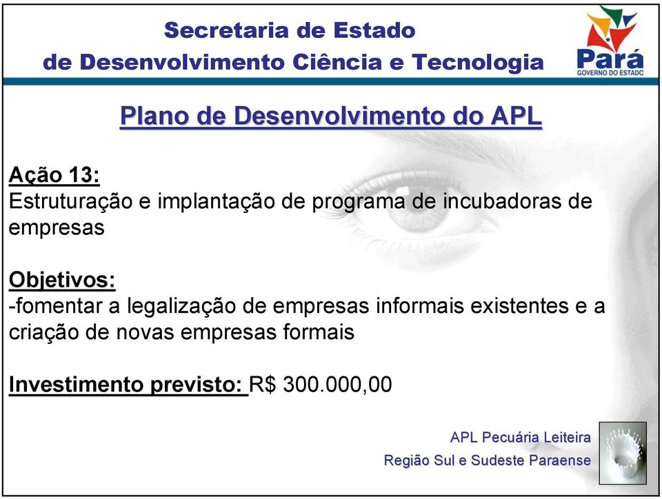 empresas informais existentes e a criação de novas