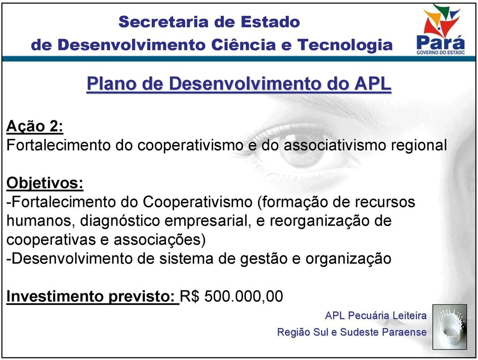 diagnóstico empresarial, e reorganização de cooperativas e associações)