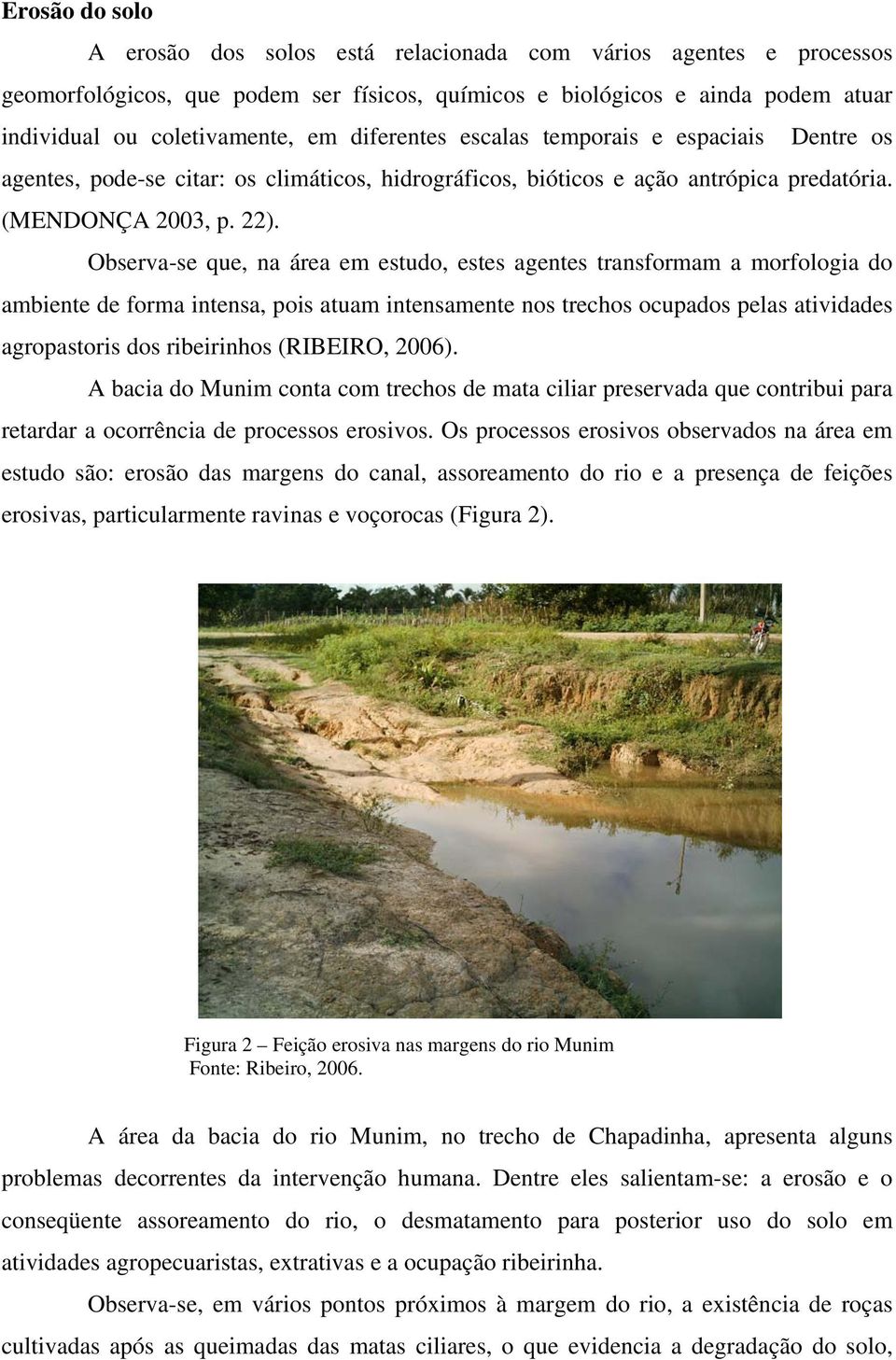 Observa-se que, na área em estudo, estes agentes transformam a morfologia do ambiente de forma intensa, pois atuam intensamente nos trechos ocupados pelas atividades agropastoris dos ribeirinhos