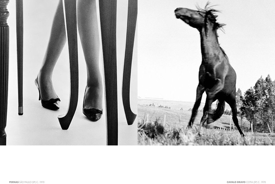 1970 Cavalo