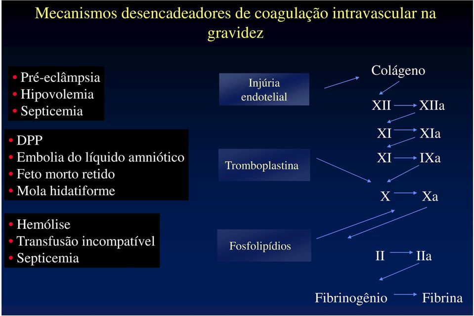 hidatiforme Injúria endotelial Tromboplastina Colágeno XII XIIa XI XIa XI IXa X