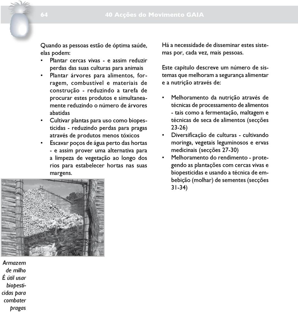 reduzindo perdas para pragas através de produtos menos tóxicos Escavar poços de água perto das hortas - e assim prover uma alternativa para a limpeza de vegetação ao longo dos rios para estabelecer