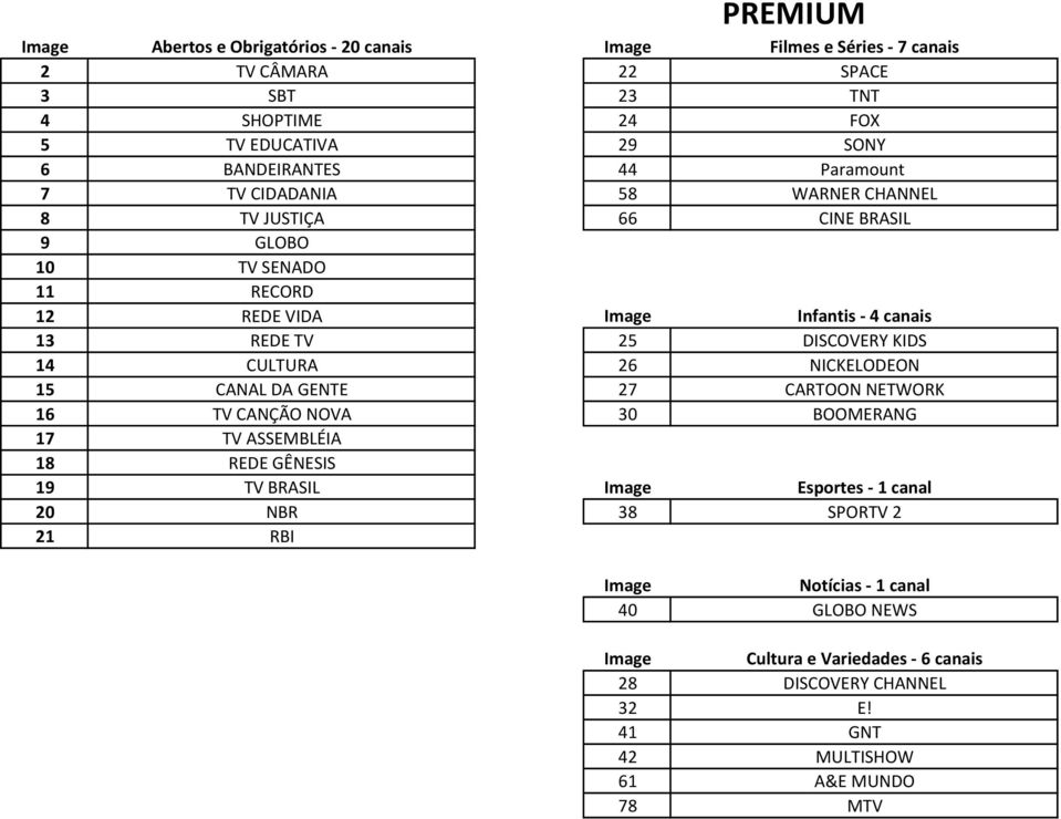 DISCOVERY KIDS 14 CULTURA 26 NICKELODEON 15 CANAL DA GENTE 27 CARTOON NETWORK 16 TV CANÇÃO NOVA 30 BOOMERANG 17 TV ASSEMBLÉIA 18 REDE GÊNESIS 19 TV BRASIL