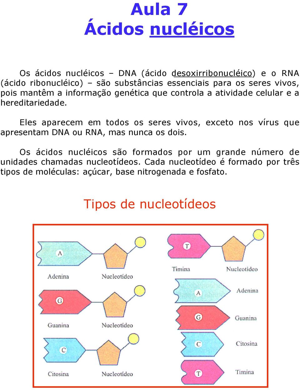 Eles aparecem em todos os seres vivos, exceto nos vírus que apresentam DNA ou RNA, mas nunca os dois.