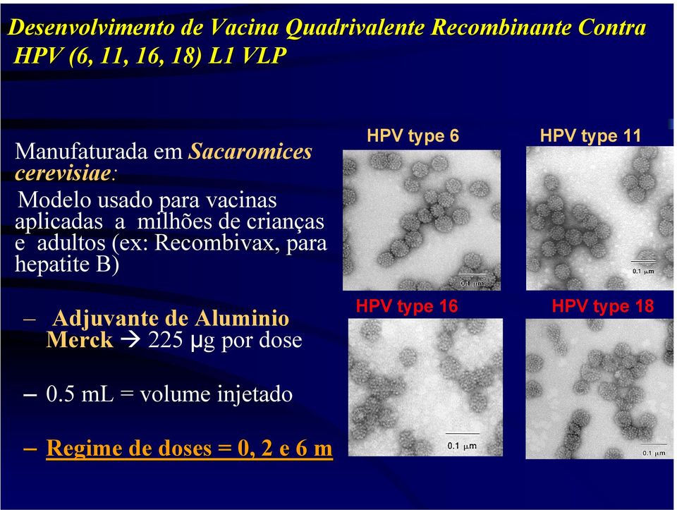 crianças e adultos (ex: Recombivax, para hepatite B) HPV type 6 HPV type 11 Adjuvante de