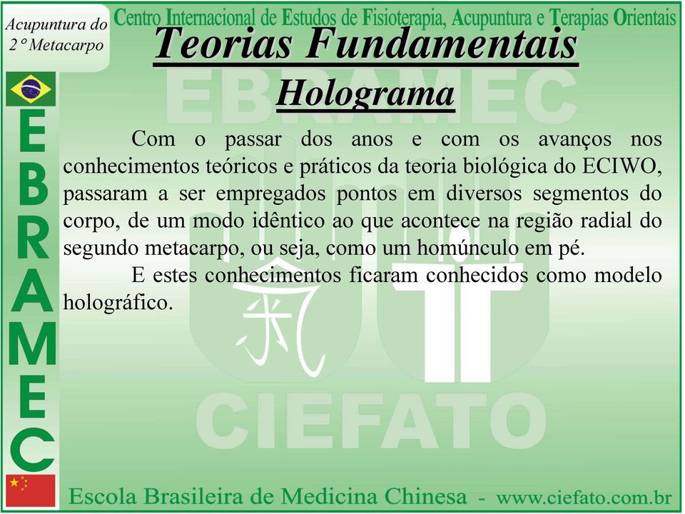 segmentos do corpo, de um modo idêntico ao que acontece na região radial do segundo metacarpo,