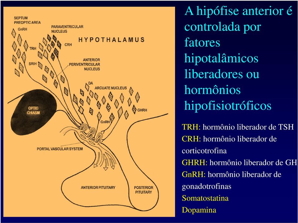 de TSH CRH: hormônio liberador de corticotrofina GHRH: hormônio