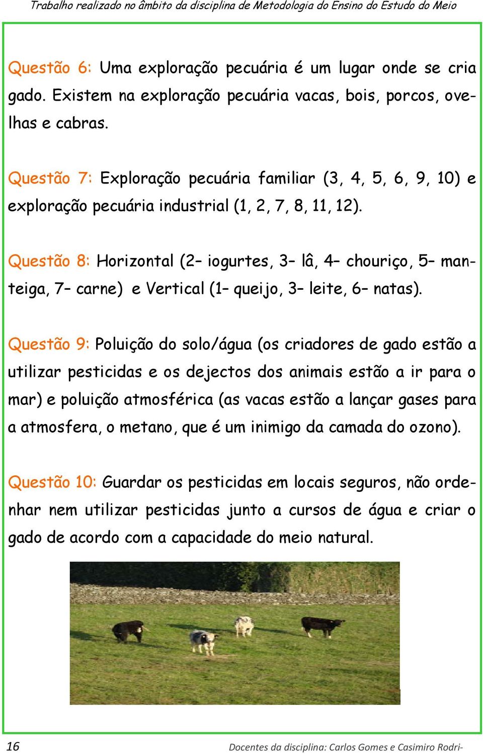 Questão 8: Horizontal (2 iogurtes, 3 lâ, 4 chouriço, 5 manteiga, 7 carne) e Vertical (1 queijo, 3 leite, 6 natas).