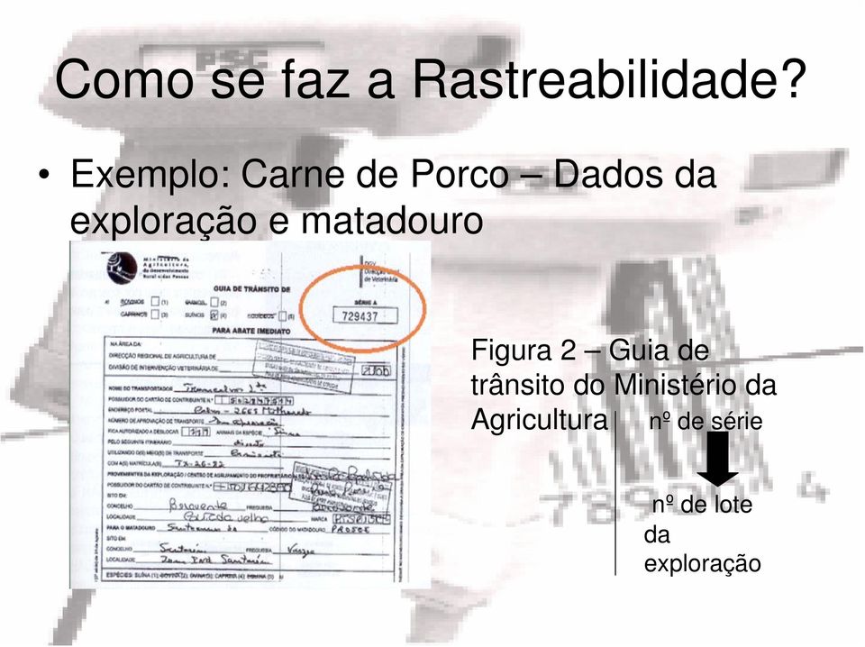 e matadouro Figura 2 Guia de trânsito do