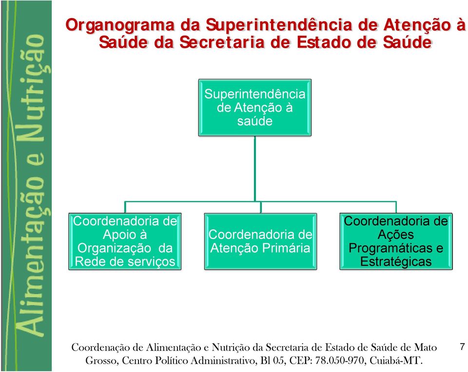 Coordenadoria de Apoio à Organização da Rede de serviços