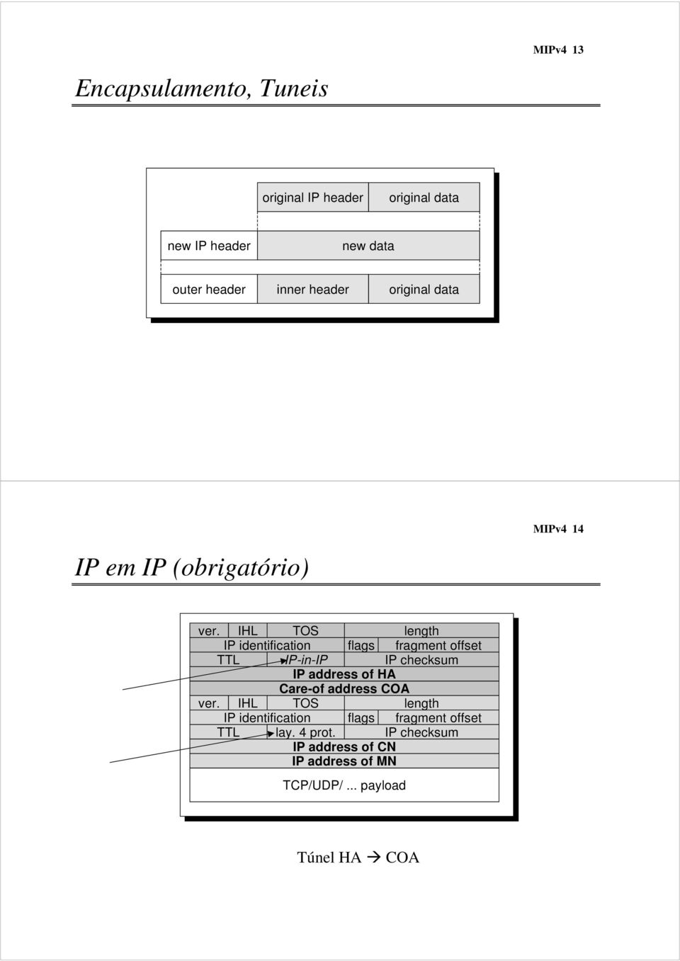 IHL TOS length IP identification flags fragment offset TTL IP-in-IP IP checksum IP address of Care-of