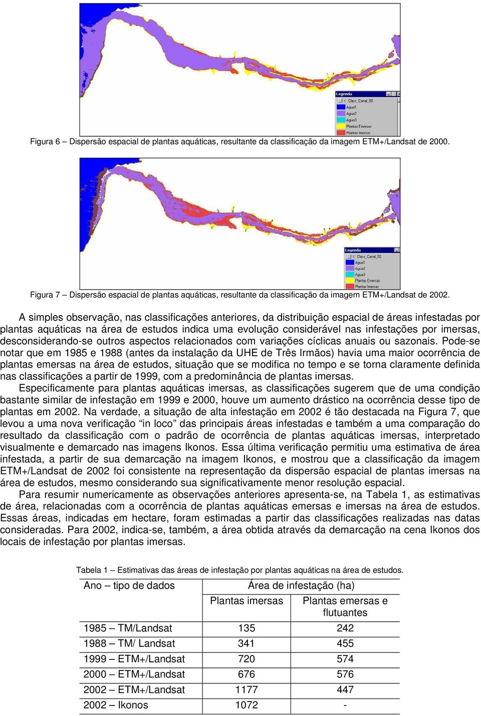 A simples observação, nas classificações anteriores, da distribuição espacial de áreas infestadas por plantas aquáticas na área de estudos indica uma evolução considerável nas infestações por
