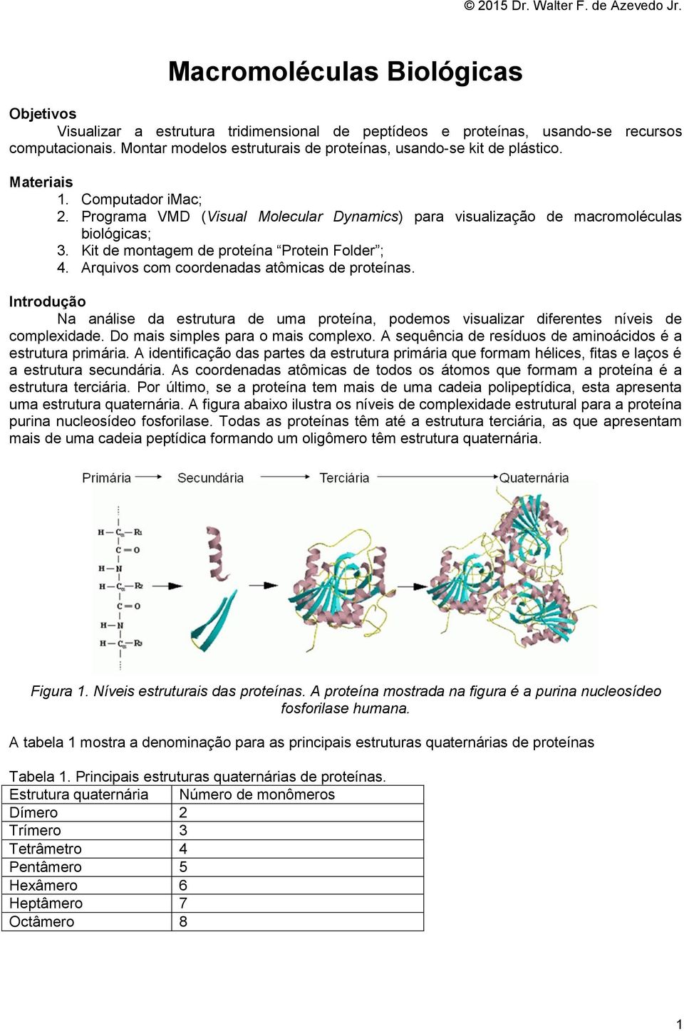 Kit de montagem de proteína Protein Folder ; 4. Arquivos com coordenadas atômicas de proteínas.