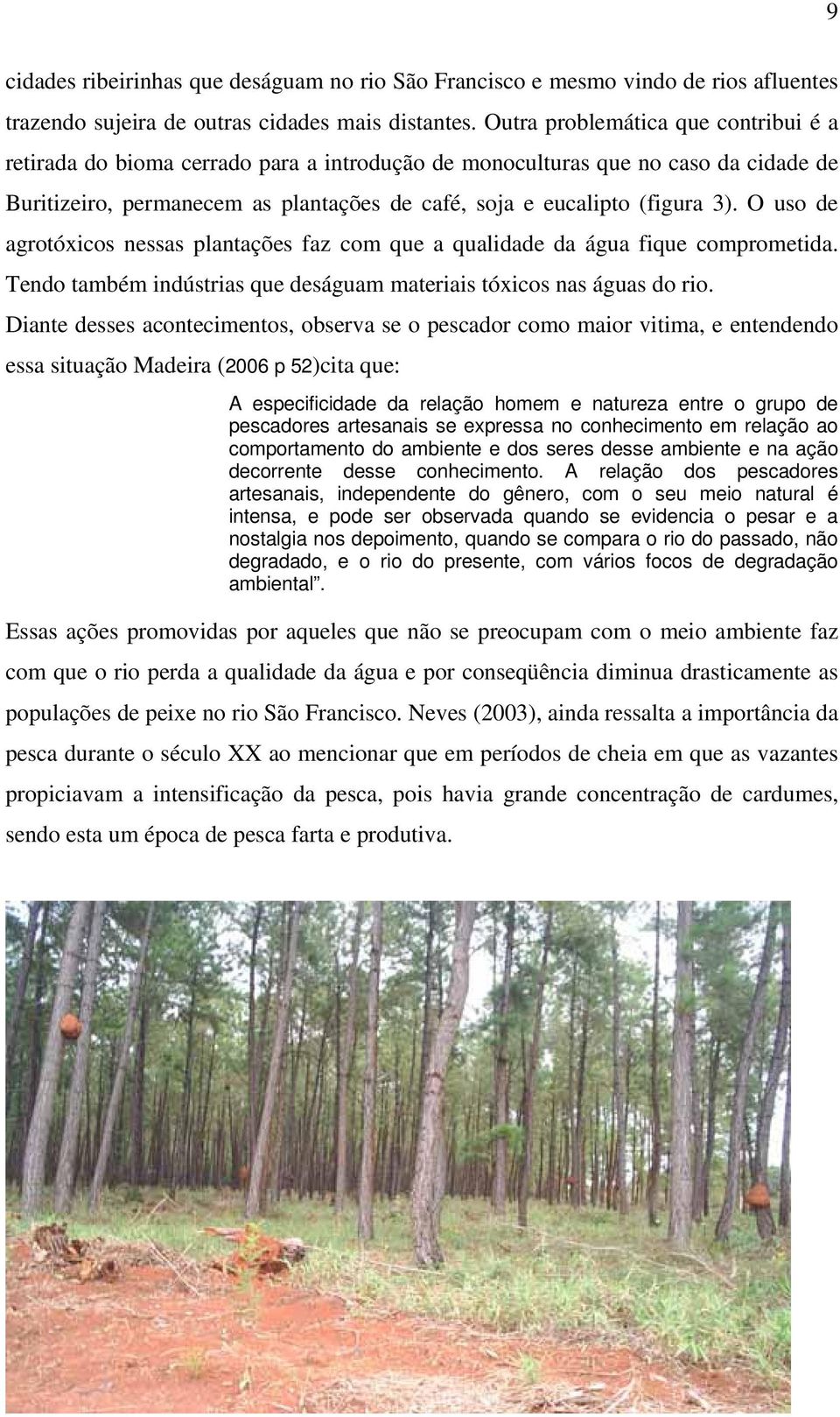 O uso de agrotóxicos nessas plantações faz com que a qualidade da água fique comprometida. Tendo também indústrias que deságuam materiais tóxicos nas águas do rio.