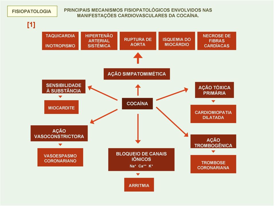 AÇÃO SIMPATOMIMÉTICA SENSIBILIDADE À SUBSTÂNCIA MIOCARDITE COCAÍNA AÇÃO TÓXICA PRIMÁRIA CARDIOMIOPATIA DILATADA AÇÃO