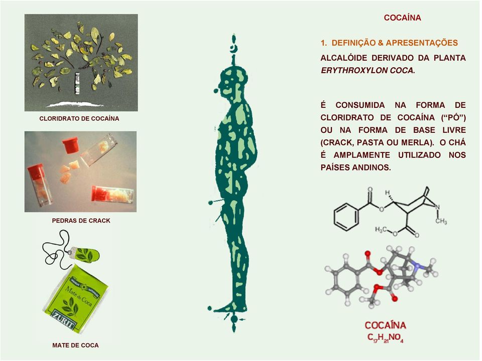 COCA. CLORIDRATO DE COCAÍNA É CONSUMIDA NA FORMA DE CLORIDRATO DE