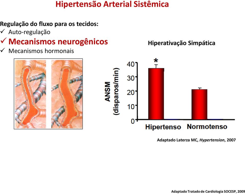 hormonais Hiperativação Simpática Adaptado Laterza MC,