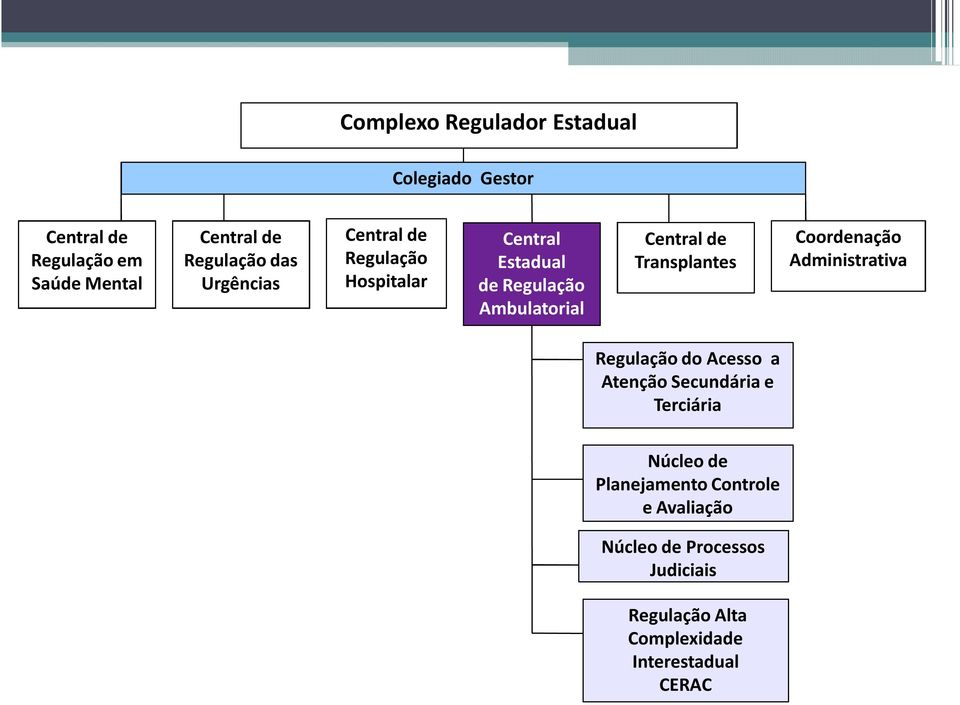 Transplantes Coordenação Administrativa Regulação do Acesso a Atenção Secundária e Terciária Núcleo de