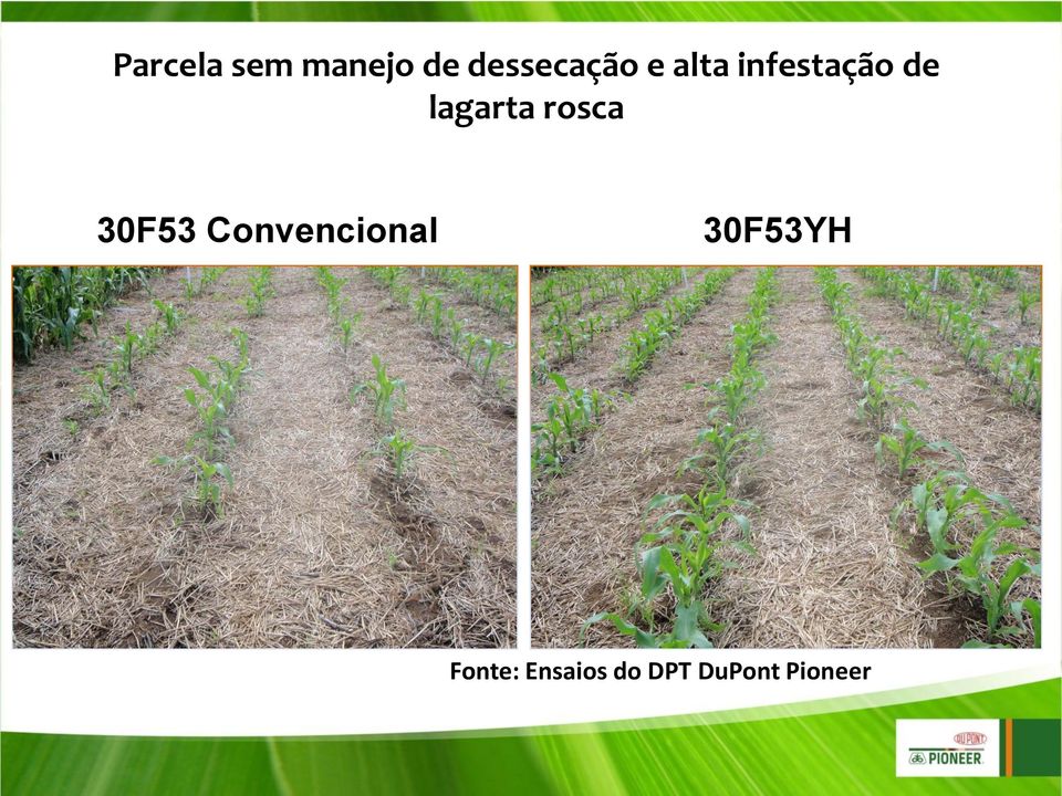 rosca 30F53 Convencional 30F53YH