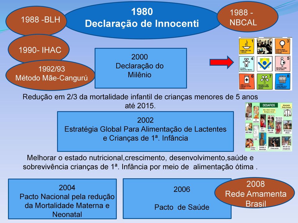 2002 Estratégia Global Para Alimentação de Lactentes e Crianças de 1ª.