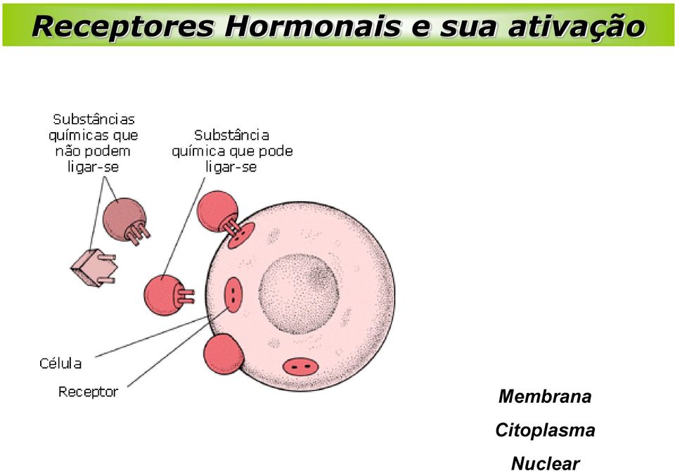 ativação