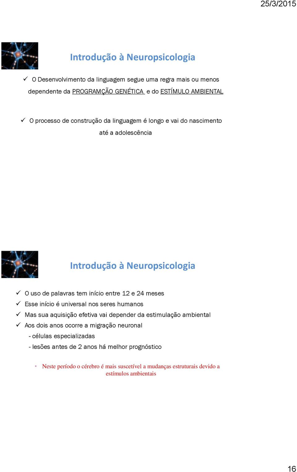 universal nos seres humanos Mas sua aquisição efetiva vai depender da estimulação ambiental Aos dois anos ocorre a migração neuronal - células