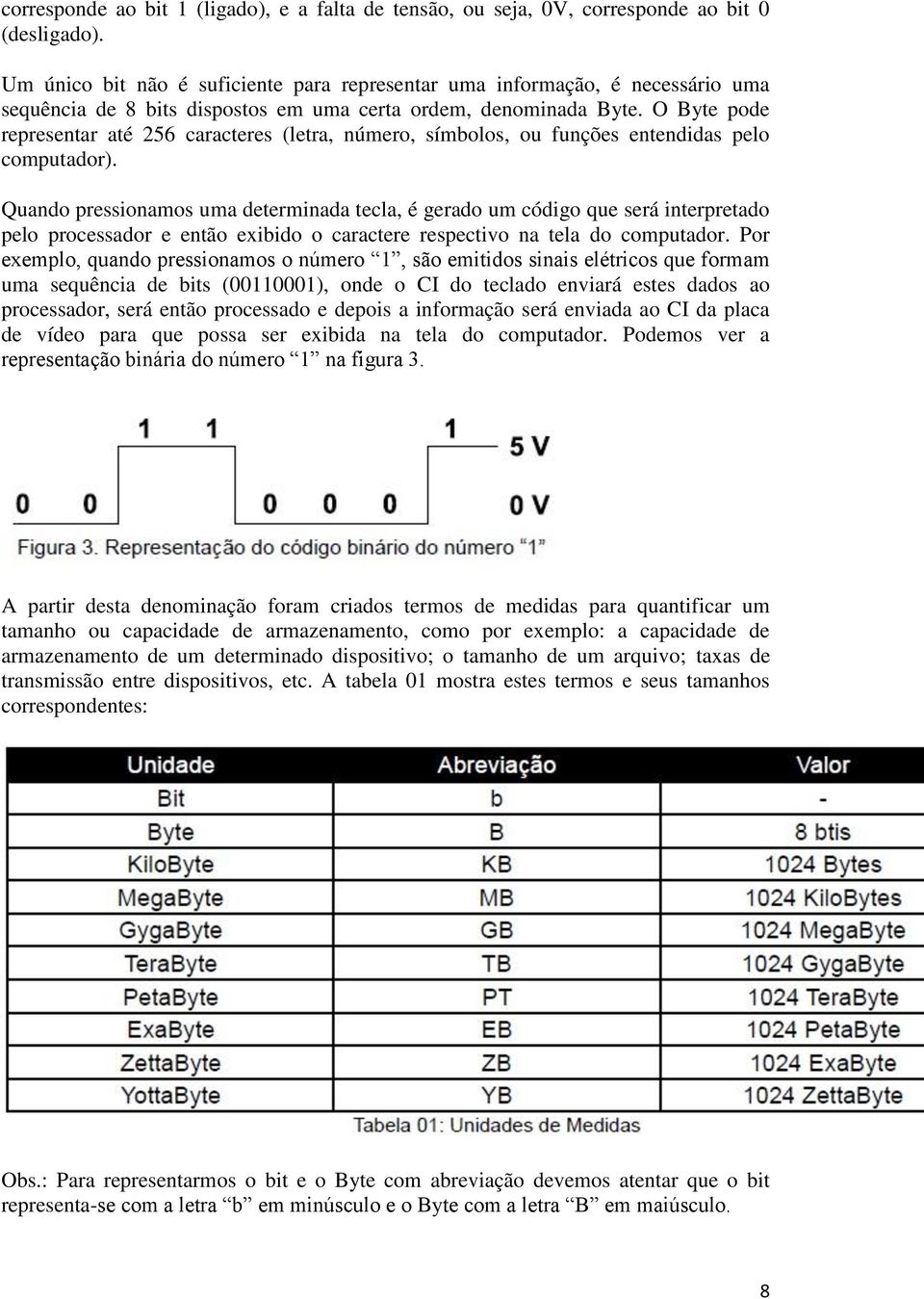 O Byte pode representar até 256 caracteres (letra, número, símbolos, ou funções entendidas pelo computador).