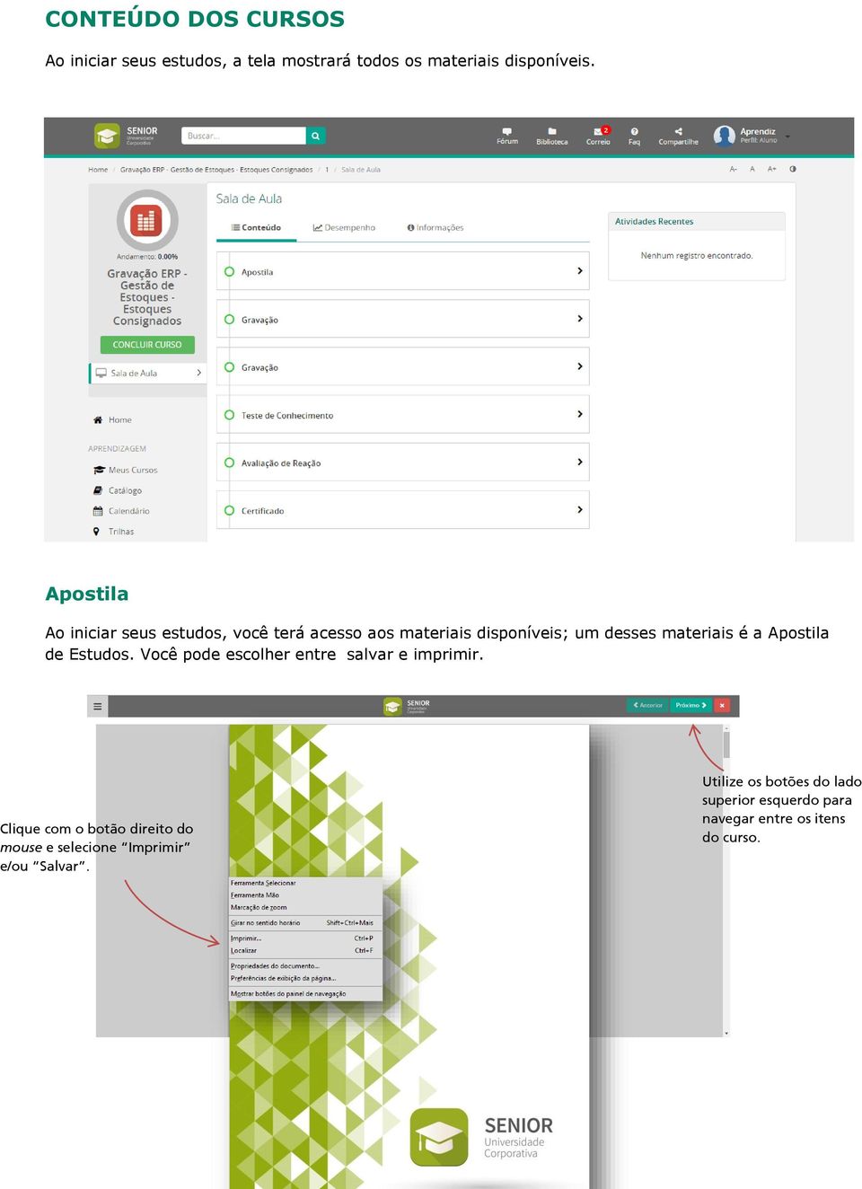 Apostila de Estudos. Você pode escolher entre salvar e imprimir.