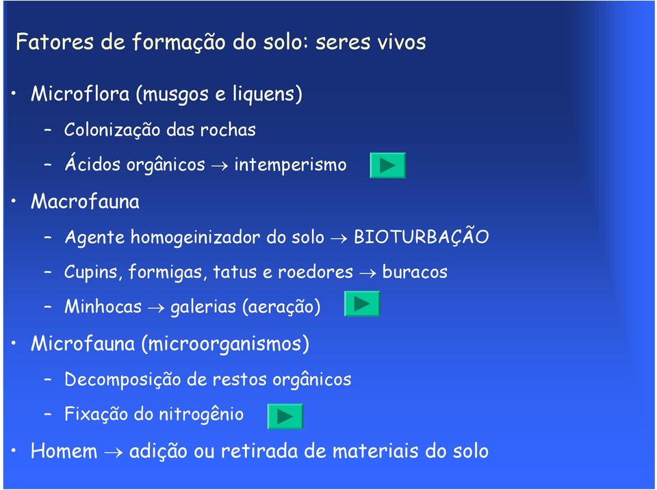 formigas, tatus e roedores buracos Minhocas galerias (aeração) Microfauna (microorganismos)