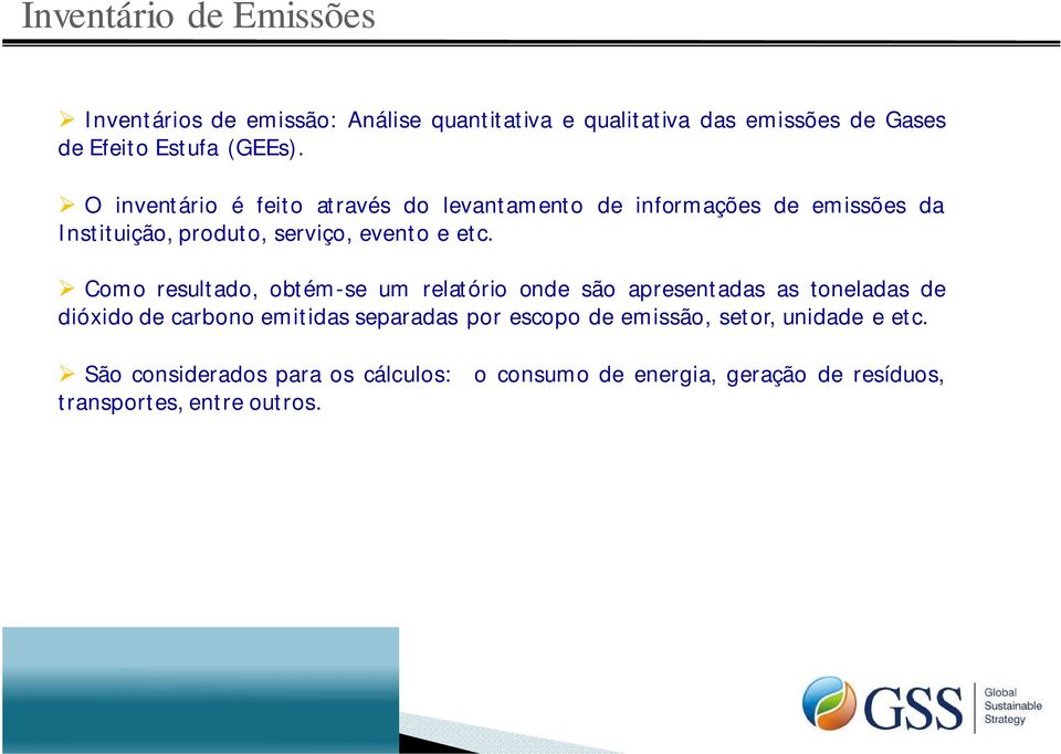 Como resultado, obtém-se um relatório onde são apresentadas as toneladas de dióxido de carbono emitidas separadas por escopo de