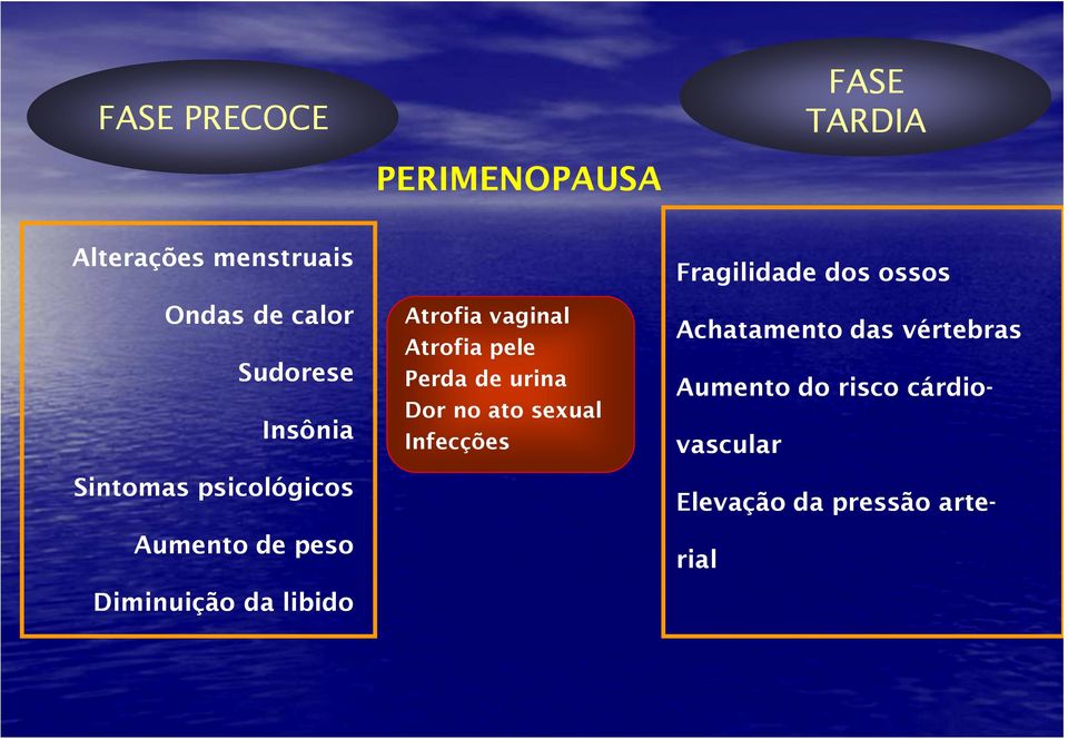 Atrofia vaginal Atrofia pele Perda de urina Dor no ato sexual Infecções