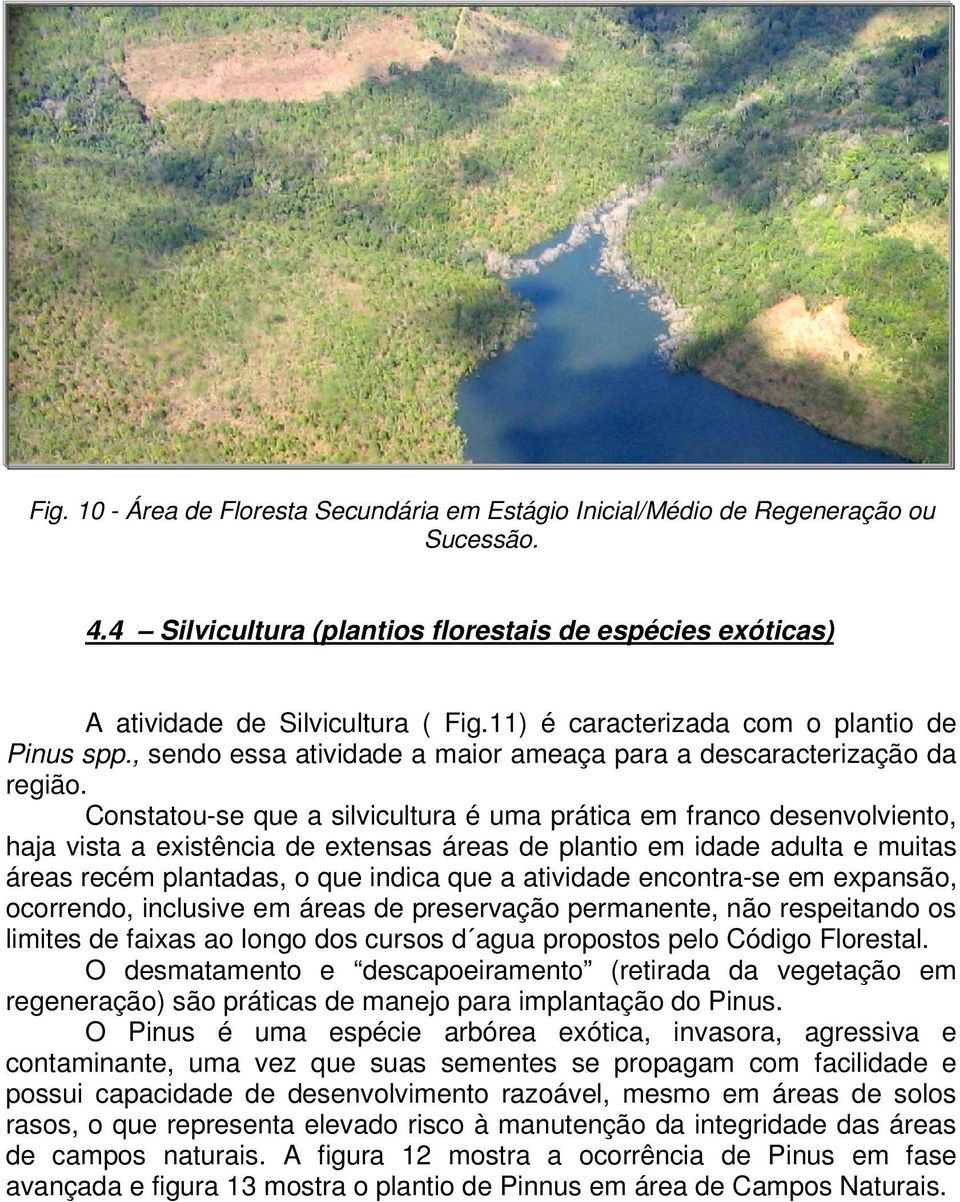 Constatou-se que a silvicultura é uma prática em franco desenvolviento, haja vista a existência de extensas áreas de plantio em idade adulta e muitas áreas recém plantadas, o que indica que a