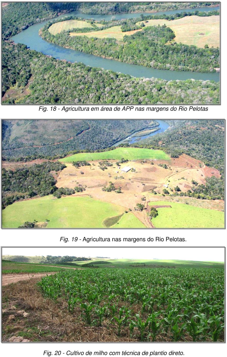 19 - Agricultura nas margens do Rio