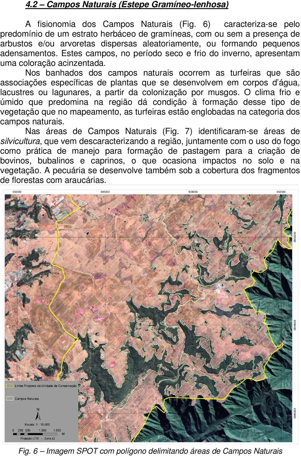 Estes campos, no período seco e frio do inverno, apresentam uma coloração acinzentada.