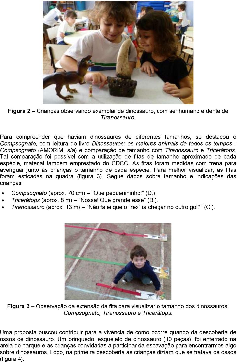 comparação de tamanho com Tiranossauro e Tricerátops. Tal comparação foi possível com a utilização de fitas de tamanho aproximado de cada espécie, material também emprestado do CDCC.