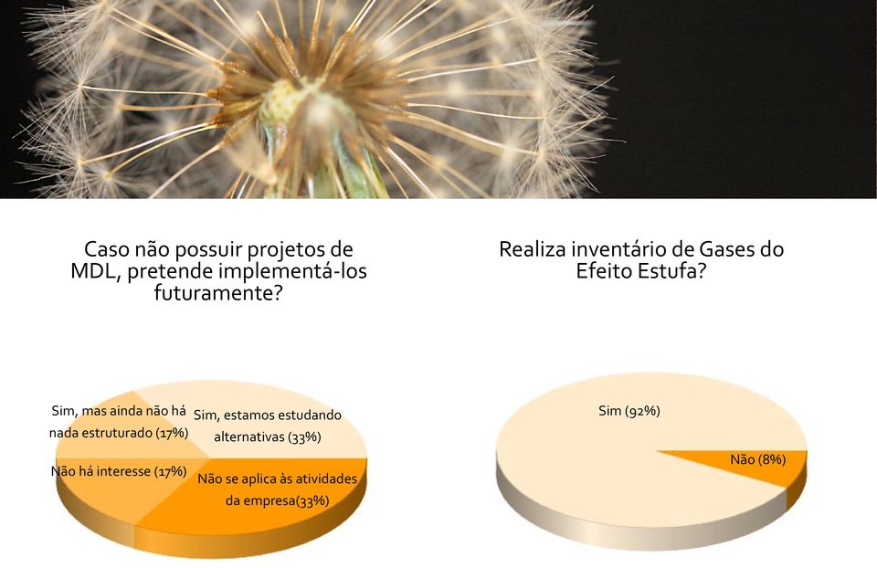 Sim, mas ainda não há nada estruturado (17%) Não há interesse (17%) Sim,