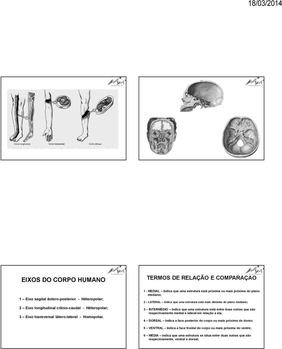 1 -MEDIAL Indica que uma estrutura está próxima ou mais próxima do plano mediano; 2 LATERAL Indica que uma estrutura está mais distante do plano mediano; 3 INTERMÉDIO Indica