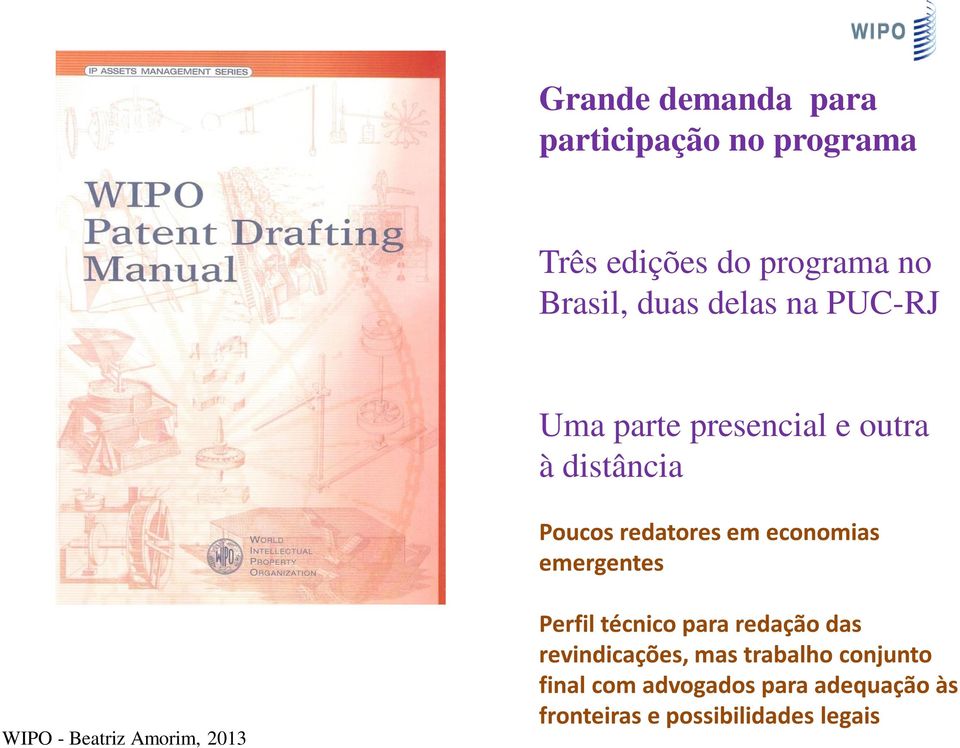emergentes WIPO - Beatriz Amorim, 2013 Perfil técnico para redação das revindicações,