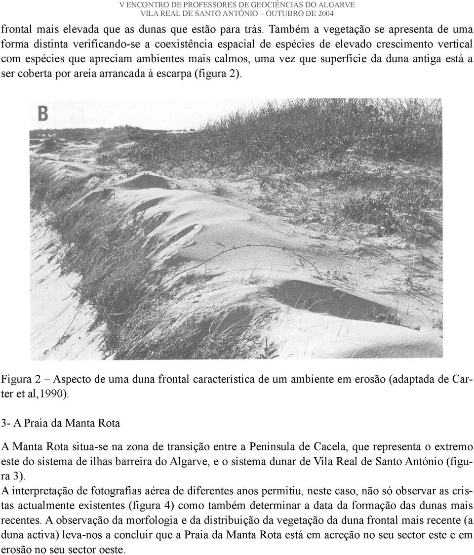 superfície da duna antiga está a ser coberta por areia arrancada à escarpa (figura 2). Figura 2 Aspecto de uma duna frontal característica de um ambiente em erosão (adaptada de Carter et al,1990).