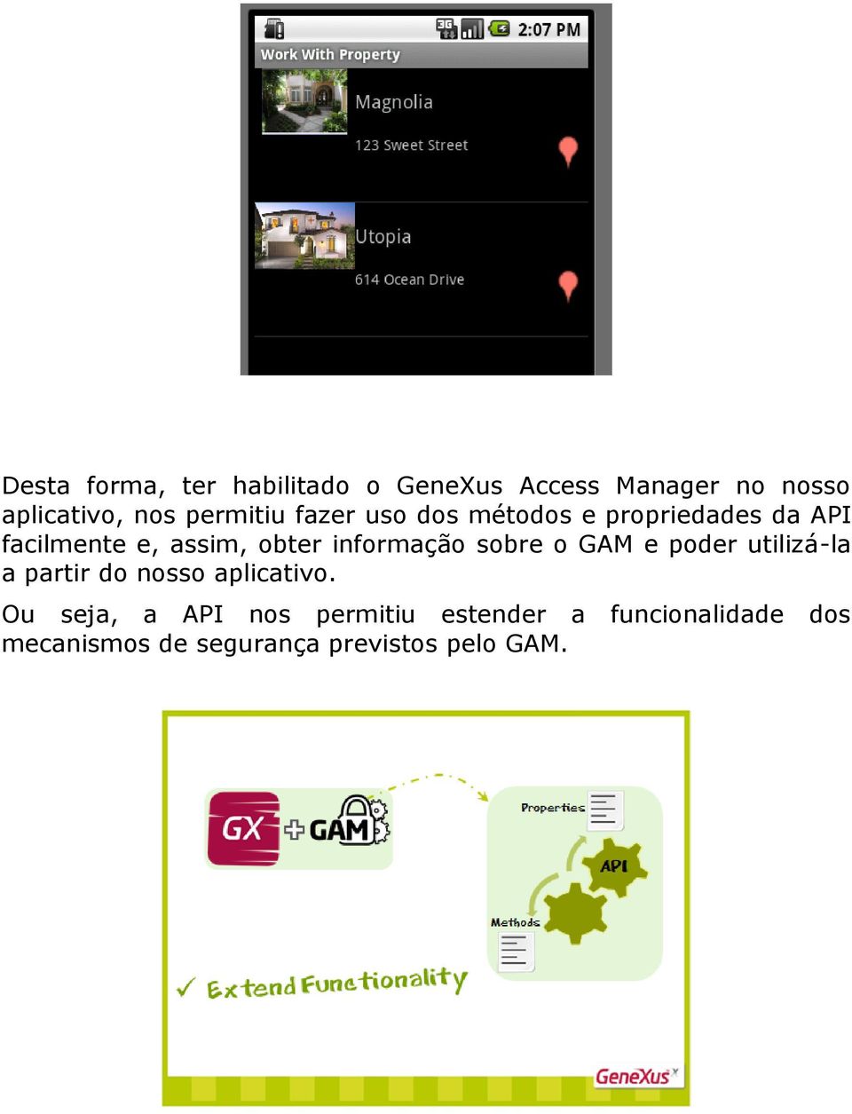 informação sobre o GAM e poder utilizá-la a partir do nosso aplicativo.
