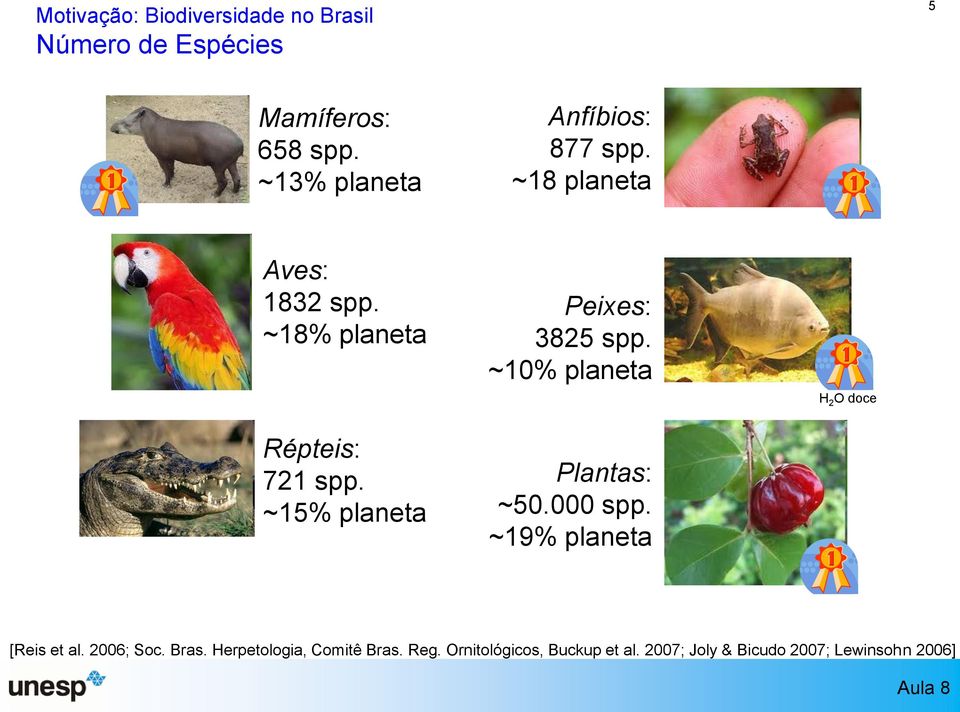 ~15% planeta Peixes: 3825 spp. ~10% planeta Plantas: ~50.000 spp.