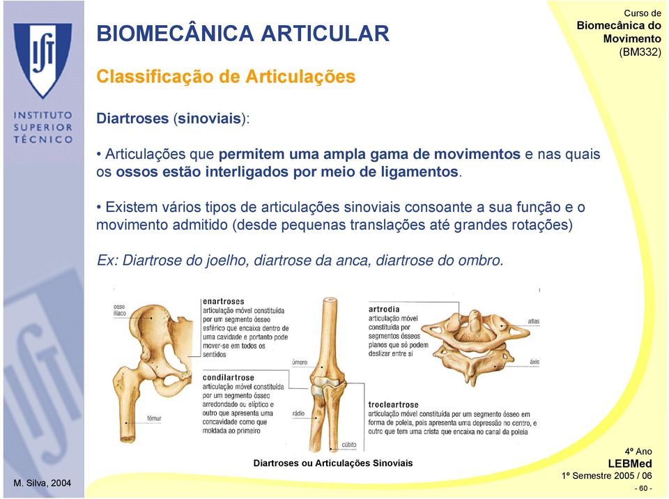 Existem vários tipos de articulações sinoviais consoante a sua função e o movimento admitido (desde