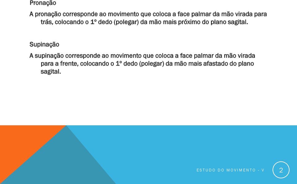 Supinação A supinação corresponde ao movimento que coloca a face palmar da mão