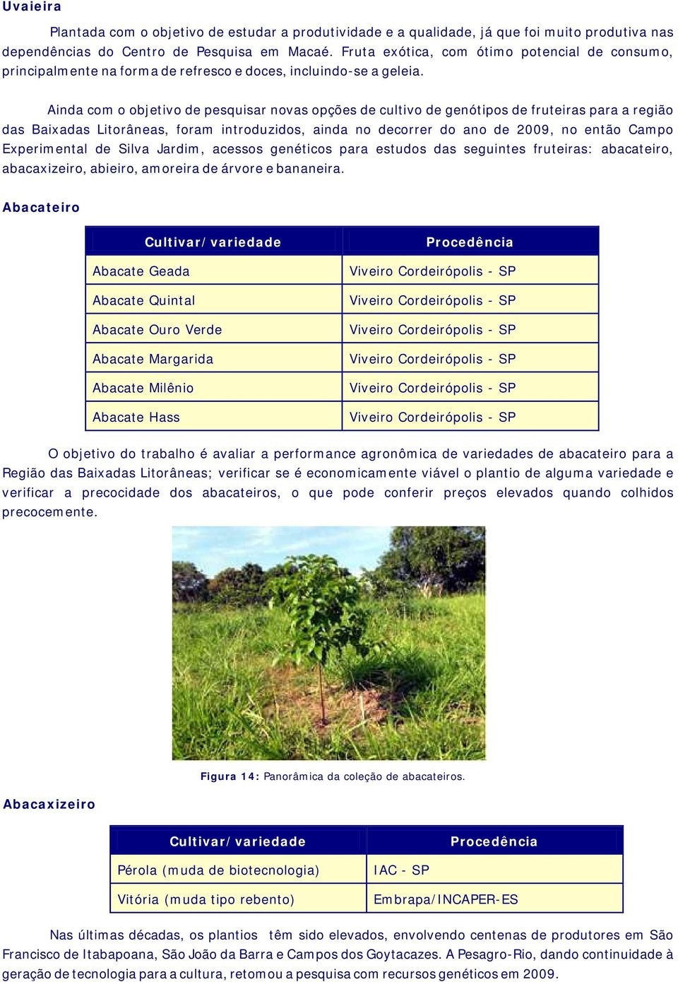 Ainda com o objetivo de pesquisar novas opções de cultivo de genótipos de fruteiras para a região das Baixadas Litorâneas, foram introduzidos, ainda no decorrer do ano de 2009, no então Campo
