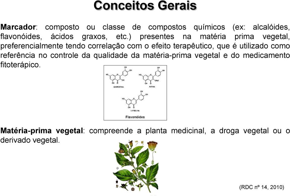 ) presentes na matéria prima vegetal, preferencialmente tendo correlação com o efeito terapêutico, que é