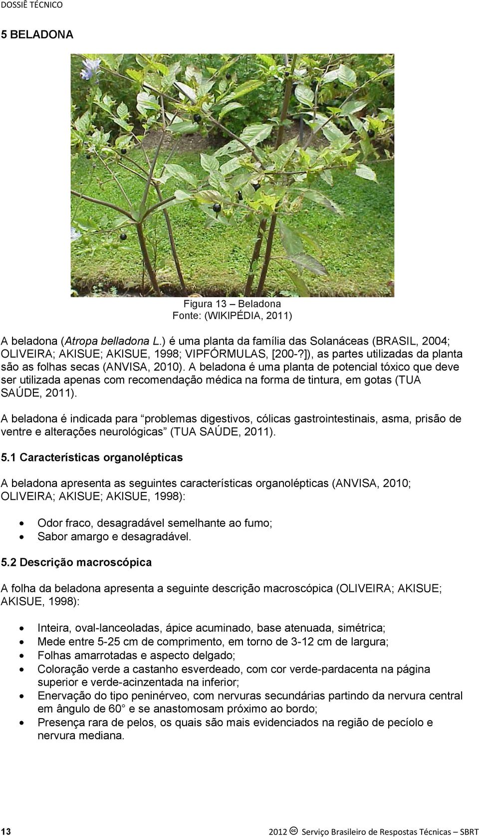 A beladona é uma planta de potencial tóxico que deve ser utilizada apenas com recomendação médica na forma de tintura, em gotas (TUA SAÚDE, 2011).
